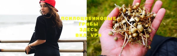 a pvp Краснослободск