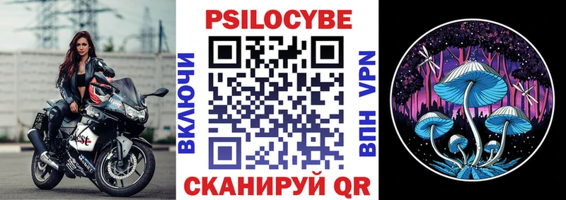 Псилоцибиновые грибы мицелий Купить Бобров